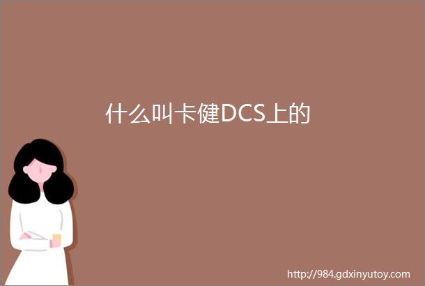 什么叫卡健DCS上的