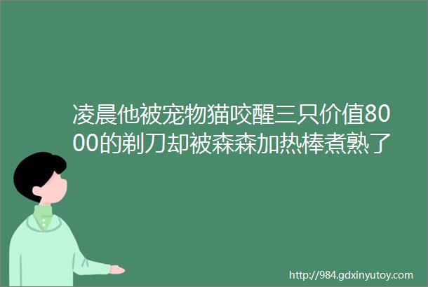 凌晨他被宠物猫咬醒三只价值8000的剃刀却被森森加热棒煮熟了