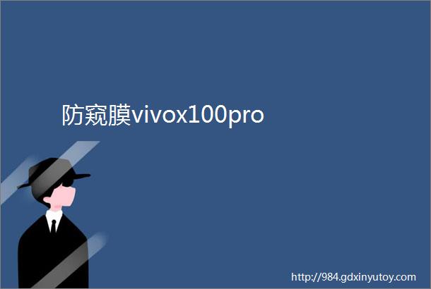 防窥膜vivox100pro