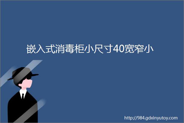 嵌入式消毒柜小尺寸40宽窄小