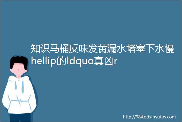 知识马桶反味发黄漏水堵塞下水慢hellip的ldquo真凶rdquo已找到真的不是质量问题看懂了赶紧转给你的客户