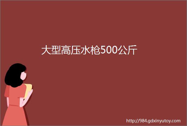 大型高压水枪500公斤