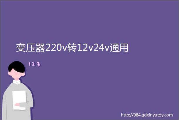 变压器220v转12v24v通用